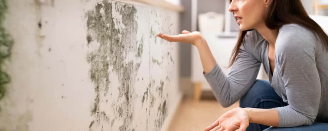 Jak pozbyć się grzyba ze ściany - skuteczne metody i porady Jak pozbyć się grzyba ze ściany - skuteczne metody i porady