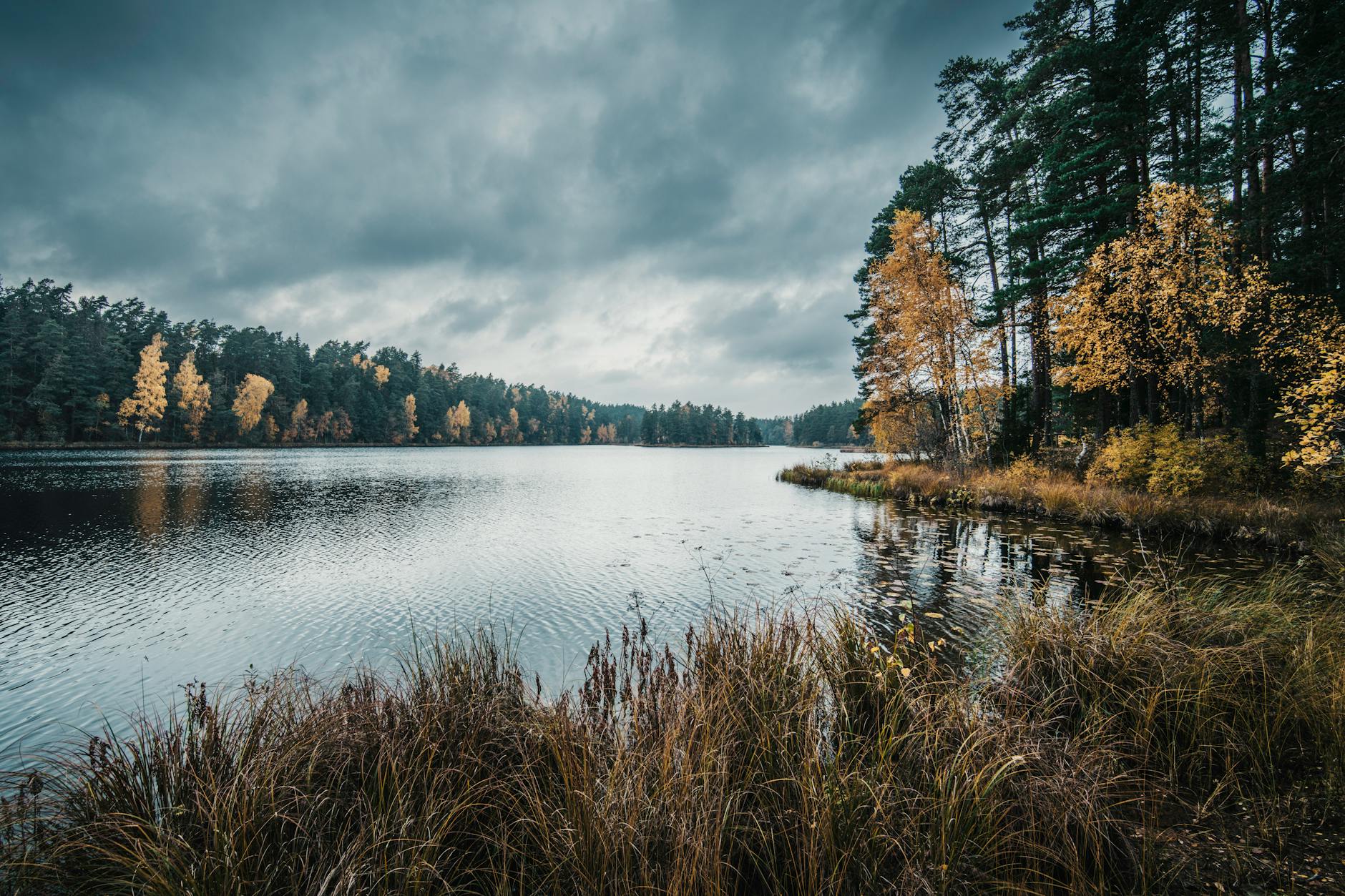 Jesienny krajobraz nad spokojnym jeziorem z złotymi drzewami w tle Jesienny krajobraz nad spokojnym jeziorem z złotymi drzewami w tle