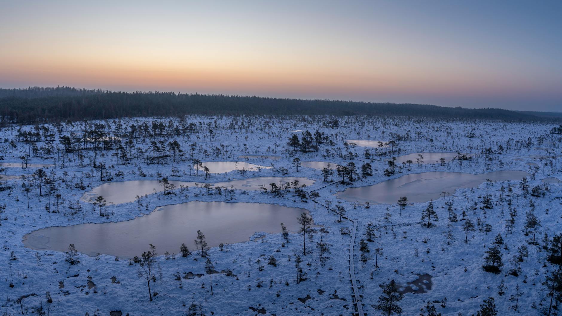 Zimowy krajobraz torfowiska Mukri w Estonii o świcie z zamarzniętymi jeziorami