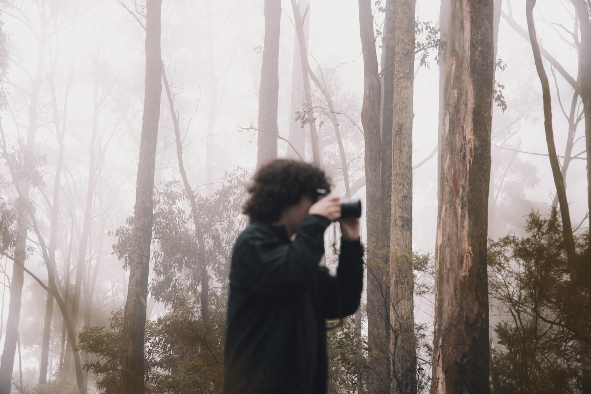 Fotograf w mglistej leśnej scenerii rezerwatu Kinglake w Australii