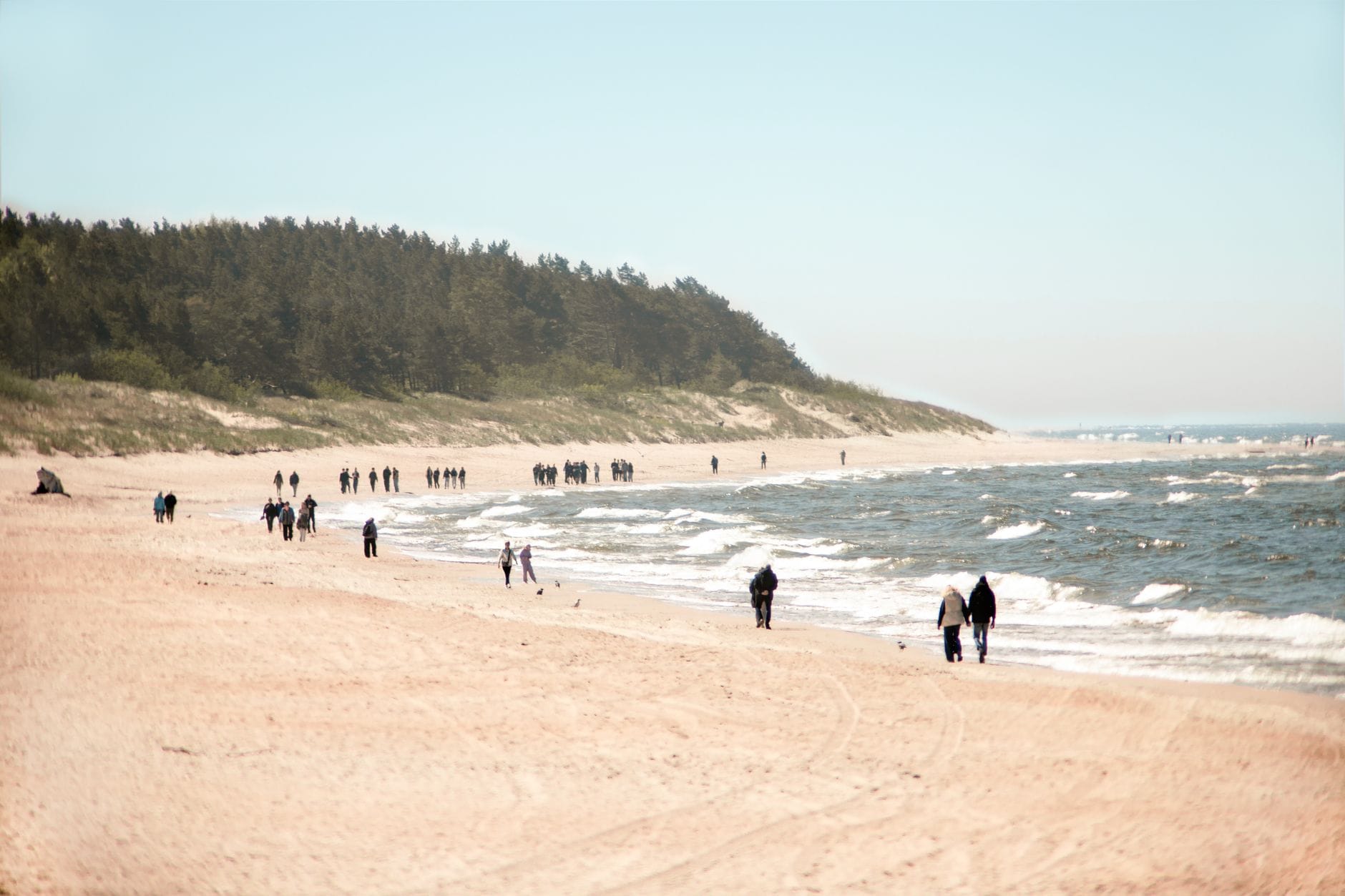 Spacerowicze na spokojnej plaży z lasem w tle Spacerowicze na spokojnej plaży z lasem w tle