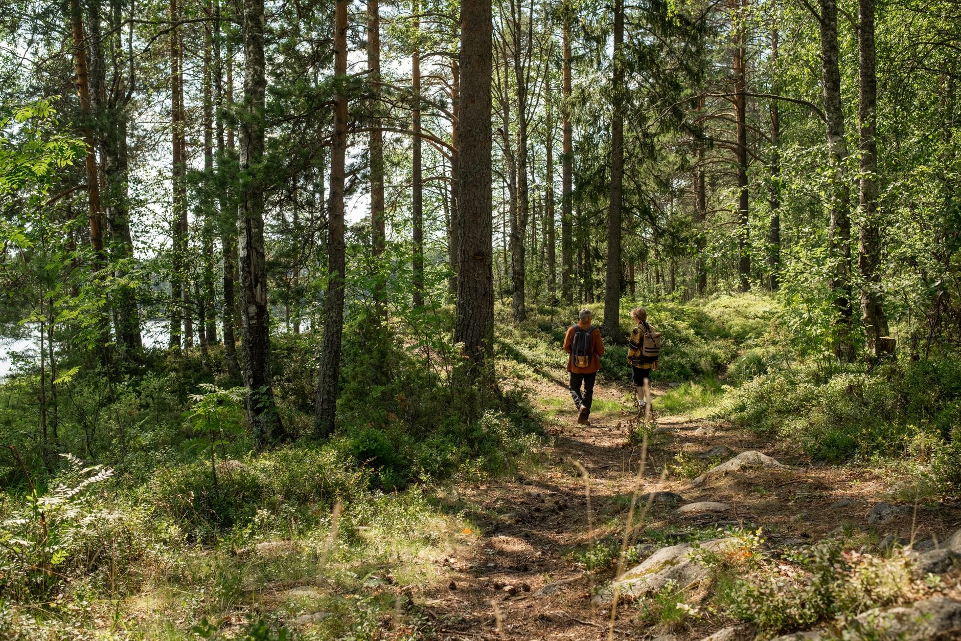 Dziadek z wnukiem na rodzinnym spacerze po słonecznym lesie Pomorza Zachodniego