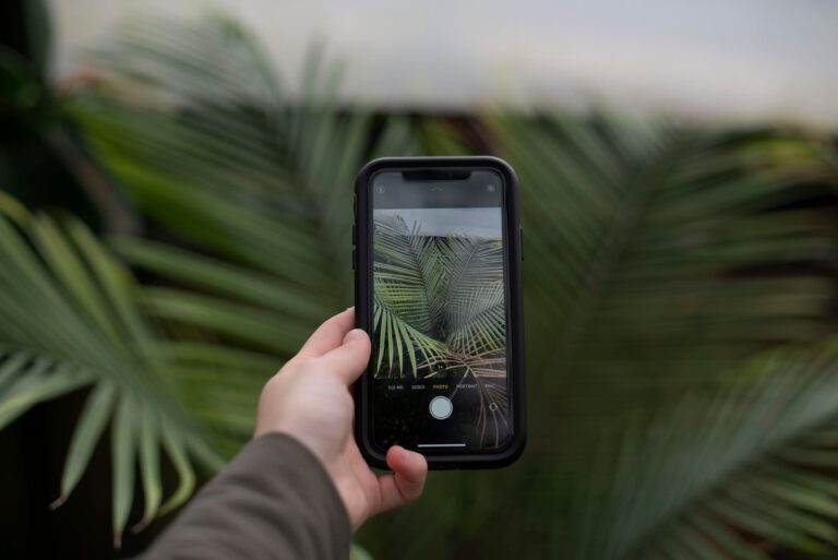 Smartfon fotografujący tropikalne liście w lesie